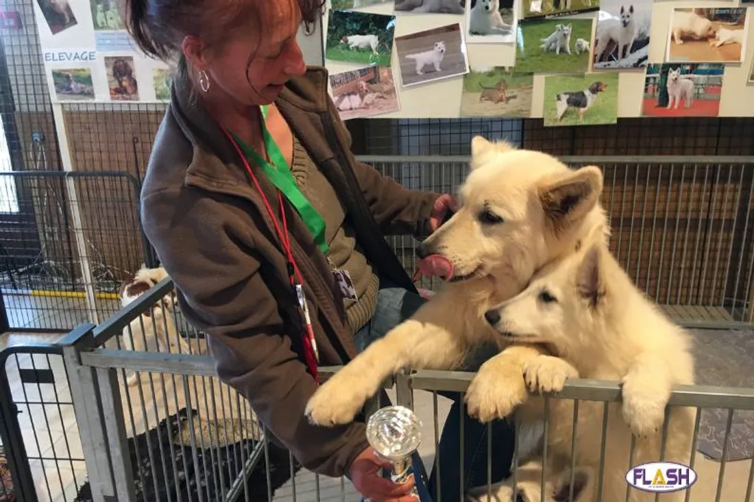 LA 12E ÉDITION DU SALON DES ANIMAUX À LIMOGES